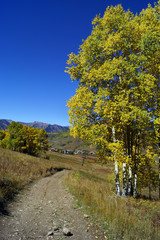 Fototapeta na wymiar Hiking Trail in the Rocky Mountains in Autumn, Crested Butte's Ski-town during Fall