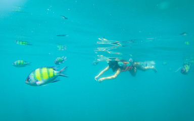 Fototapeta na wymiar Tourist snorkeling with sergeant fish in the blue thai sea near Ko Ngai, Ko Lanta, Thailand