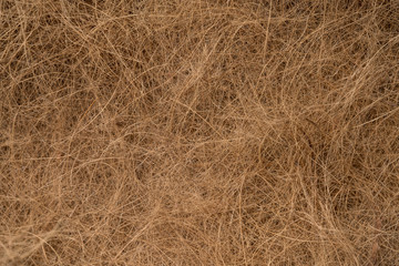 Fototapeta na wymiar Background texture of coconut husk fibers