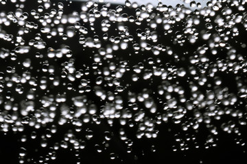 Water drops and bubbles. Rain.