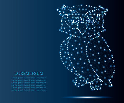 owl, polygon, blue stars 2