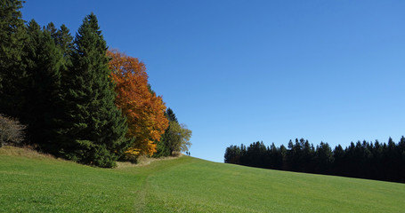 Wanderweg im Herbst in den Voralpen