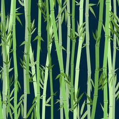Fototapeta na wymiar Cartoon Bamboo Forest Landscape Background. Vector