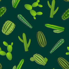Realistic Green Cactus Plants Seamless Pattern Background. Vector