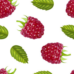 Realistic Detailed Ripe Red Raspberry Berry. Vector