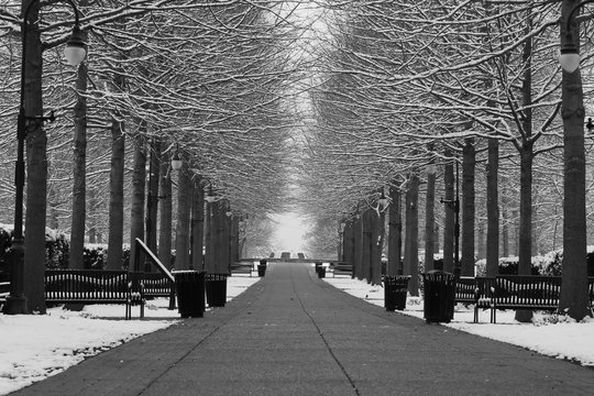 Veer Stock Photos And Royalty Free Images Vectors And Illustrations Adobe Stock