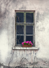 old window in an abandoned house with flowers on the windowsill