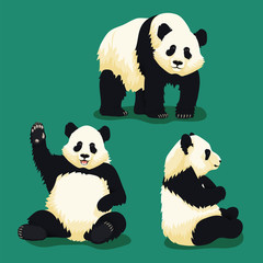 Set of illustrations of giant pandas in different poses: standing panda, waving smiling panda and panda sitting in profile © Tatiana Zhzhenova
