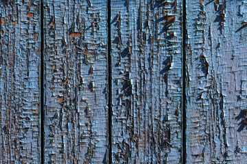 Obraz premium An old painted surface made of wood for design and creativity.