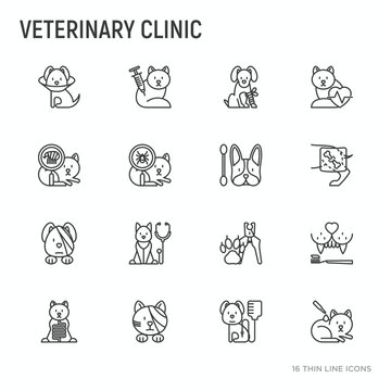 Veterinary clinic thin line icons set: blood transfusion, broken leg, protective collar, injection, cardiology, cleaning of ears, teeth, shearing claws, bandage on eye. Vector illustration.