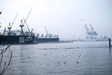 Fototapeta premium hamburg harbor morning fog