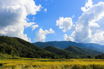 mountain ricefield sky clouds nature landscape