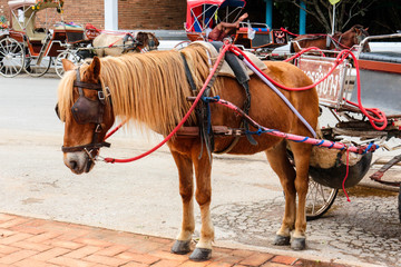 carriage lampang thailand travel culture