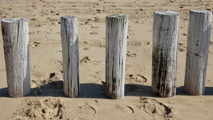 Wellenbrecher am Nordseestrand, verwitterte Holzstämme