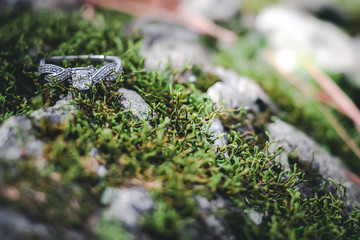 Wedding Ring Moss