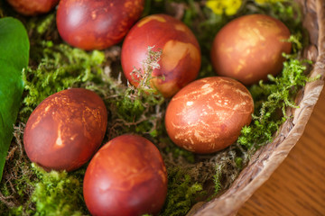 Easter eggs decorated with natural fresh leaves and boiled in onions peels, laying in wicker basket full of grass and thuja branches. dyeing eggs in the morning and celebrating Easter with family.