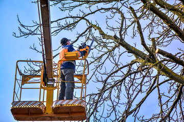 Tree pruning and sawing by a man with a chainsaw, standing on a platform of a mechanical chair...