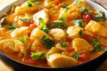 Brazilian food: Bobo chicken stew with vegetables in coconut milk close-up in a bowl. horizontal