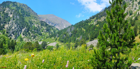 Fototapeta na wymiar mountain landscape,meadow, hiking trail and beautiful sky. Wide photo.