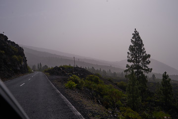 Beautiful dangerous turned road between fir-trees and volcanic lava      