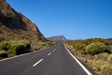 Fototapeta premium Beautiful dangerous turned road between fir-trees and volcanic lava 