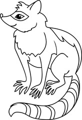 Raccoon coloring page