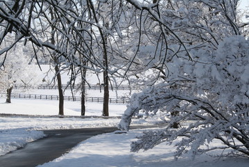 Kentucky Winter