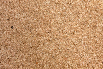 Cork board texture