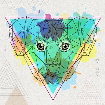 Hipster polygonal animal koala on artistic watercolor background
