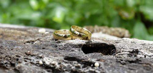 alliances, alliances of gold