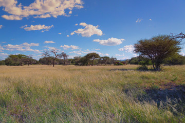 Obraz premium Namibia