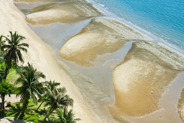 Coconut trees on the beach and the sea.