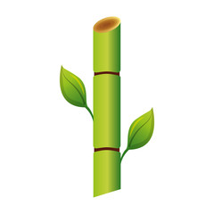 sugar cane plant icon vector illustration design