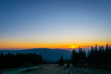 Germany, Endless nature landscape of black forest conifer trees at sunset on mountain brend