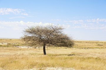Namibia