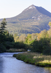 Fototapeta na wymiar Foliage river mountain