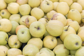 Large yellow apples in the store. Background of yellow apples.