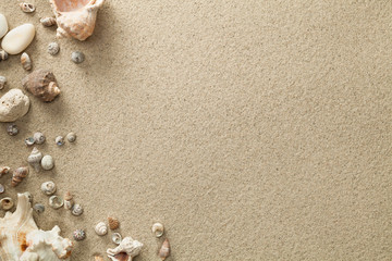 Sandy Beach Background with Shells