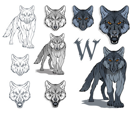 Wolf Head Symbol. Great for Badge Label Sign Icon Logo Design. Quality Wolf Emblem. Premium Retro Style Drawing. Hand crafted Vector illustration. Authentic Vintage Graphics.