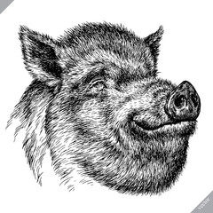 black and white engrave isolated pig vector illustration