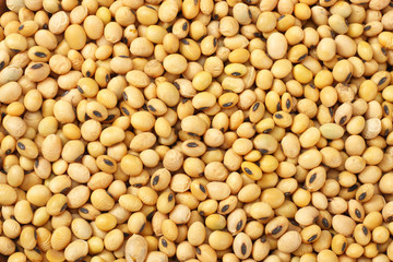 Soybeans background. Soybeans texture. top view. Healthy food