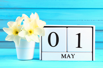 White wooden calendar with the text: May 1. White flowers of daffodils on a blue wooden table. Labor Day and Spring. © detry26