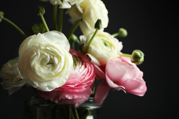 Fototapeta premium Beautiful ranunculus flowers on black background, closeup