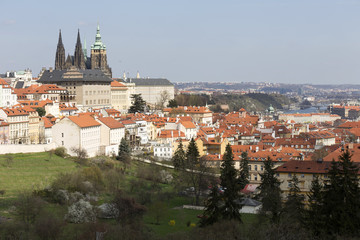 Obraz premium Spring Prague City with gothic Castle and the green Nature and flowering Trees, Czech Republic