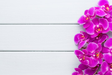 Beauty orchid on a gray background. Spa scene.
