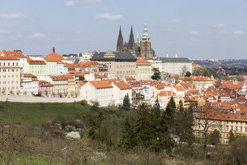 Obraz premium Spring Prague City with gothic Castle and the green Nature and flowering Trees, Czech Republic