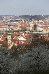 Fototapeta na wymiar View on the sunny spring Prague City, Czech Republic