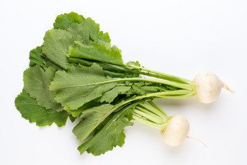 Fresh white round turnip radish on white background.