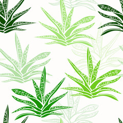 Seamless pattern with a succulents  on a white background. Floral vector illustration.