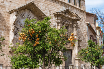 Fototapeta premium Seidenbörse Valencia Detail mit Orangenbäumen
